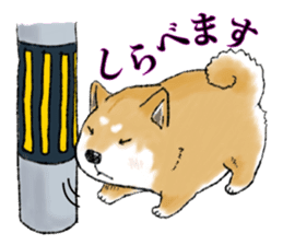 THE SHIBA INU!! sticker #1696581