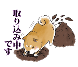 THE SHIBA INU!! sticker #1696582