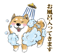THE SHIBA INU!! sticker #1696583