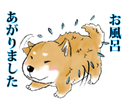 THE SHIBA INU!! sticker #1696584