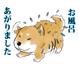 THE SHIBA INU!! sticker #1696584
