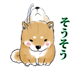 THE SHIBA INU!! sticker #1696586