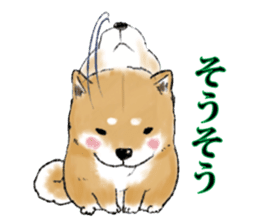 THE SHIBA INU!! sticker #1696586