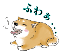 THE SHIBA INU!! sticker #1696587