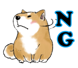 THE SHIBA INU!! sticker #1696590