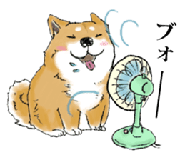 THE SHIBA INU!! sticker #1696594