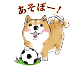 THE SHIBA INU!! sticker #1696597