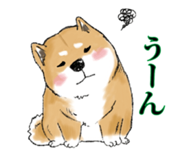 THE SHIBA INU!! sticker #1696598