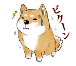 THE SHIBA INU!! sticker #1696599