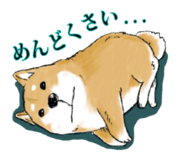 THE SHIBA INU!! sticker #1696600