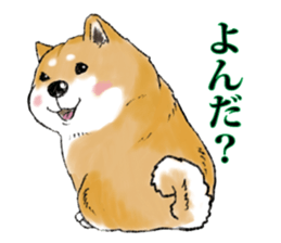 THE SHIBA INU!! sticker #1696601