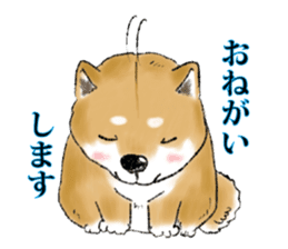 THE SHIBA INU!! sticker #1696602
