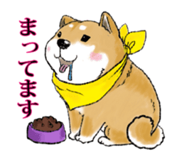 THE SHIBA INU!! sticker #1696604
