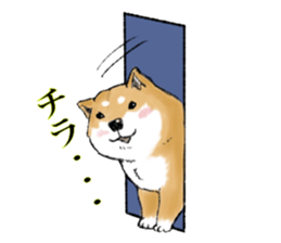 THE SHIBA INU!! sticker #1696605