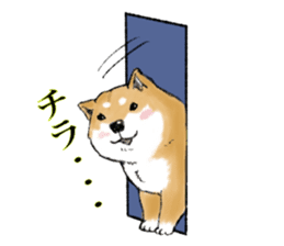 THE SHIBA INU!! sticker #1696605