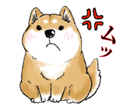 THE SHIBA INU!! sticker #1696606