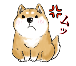 THE SHIBA INU!! sticker #1696606