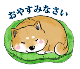 THE SHIBA INU!! sticker #1696608
