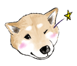 THE SHIBA INU!! sticker #1696614