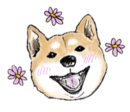 THE SHIBA INU!! sticker #1696615