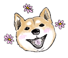 THE SHIBA INU!! sticker #1696615