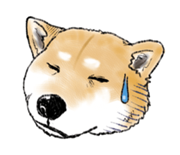 THE SHIBA INU!! sticker #1696616