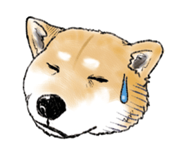 THE SHIBA INU!! sticker #1696616