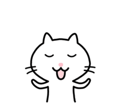 Cute White Cat Sticker sticker #1696984