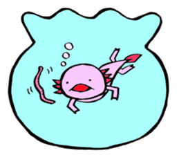 Do you not breed an axolotl? sticker #1697153