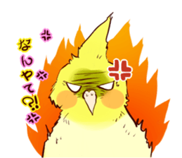 true parrots sticker #1699437