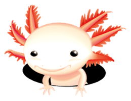 Aquatic Friends sticker #1701097