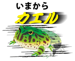 Aquatic Friends sticker #1701104