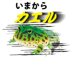 Aquatic Friends sticker #1701104