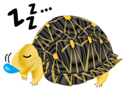 Aquatic Friends sticker #1701105