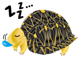 Aquatic Friends sticker #1701105