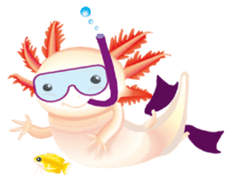 Aquatic Friends sticker #1701116