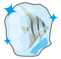 Aquatic Friends sticker #1701131