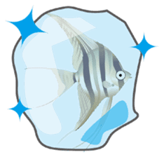 Aquatic Friends sticker #1701131