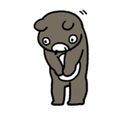 Beary boy sticker #1704638