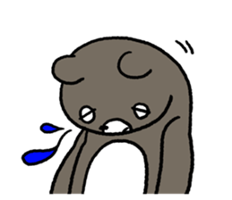 Beary boy sticker #1704647