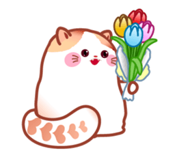 Pochi The Adorable Cat (Int'l Version) sticker #1707193