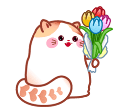 Pochi The Adorable Cat (Int'l Version) sticker #1707193