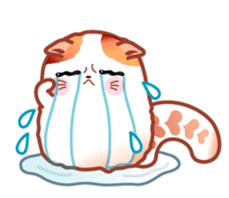 Pochi The Adorable Cat (Int'l Version) sticker #1707203