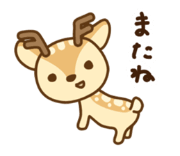 I am a deer boy sticker #1707635