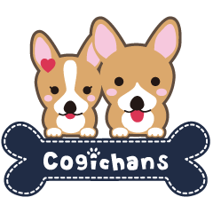 Lovable playful Corgi -Cogichans-