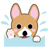 Lovable playful Corgi -Cogichans- sticker #1707836