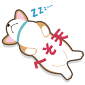 Lovable playful Corgi -Cogichans- sticker #1707845