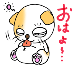 Weakness cat sticker #1708747