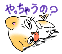 Weakness cat sticker #1708761