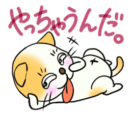 Weakness cat sticker #1708762